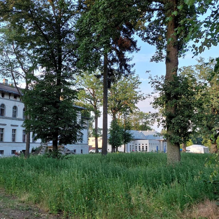 Palac Dabrowka Rawicz Εξωτερικό φωτογραφία